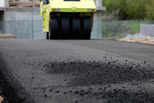 Best Custom Driveway Pavers  in Clinton, NC